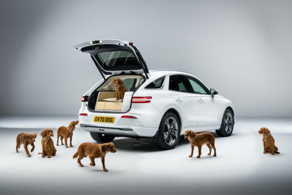 Genesis X Dog: Luxury Travel for Pets with Electrified GV70