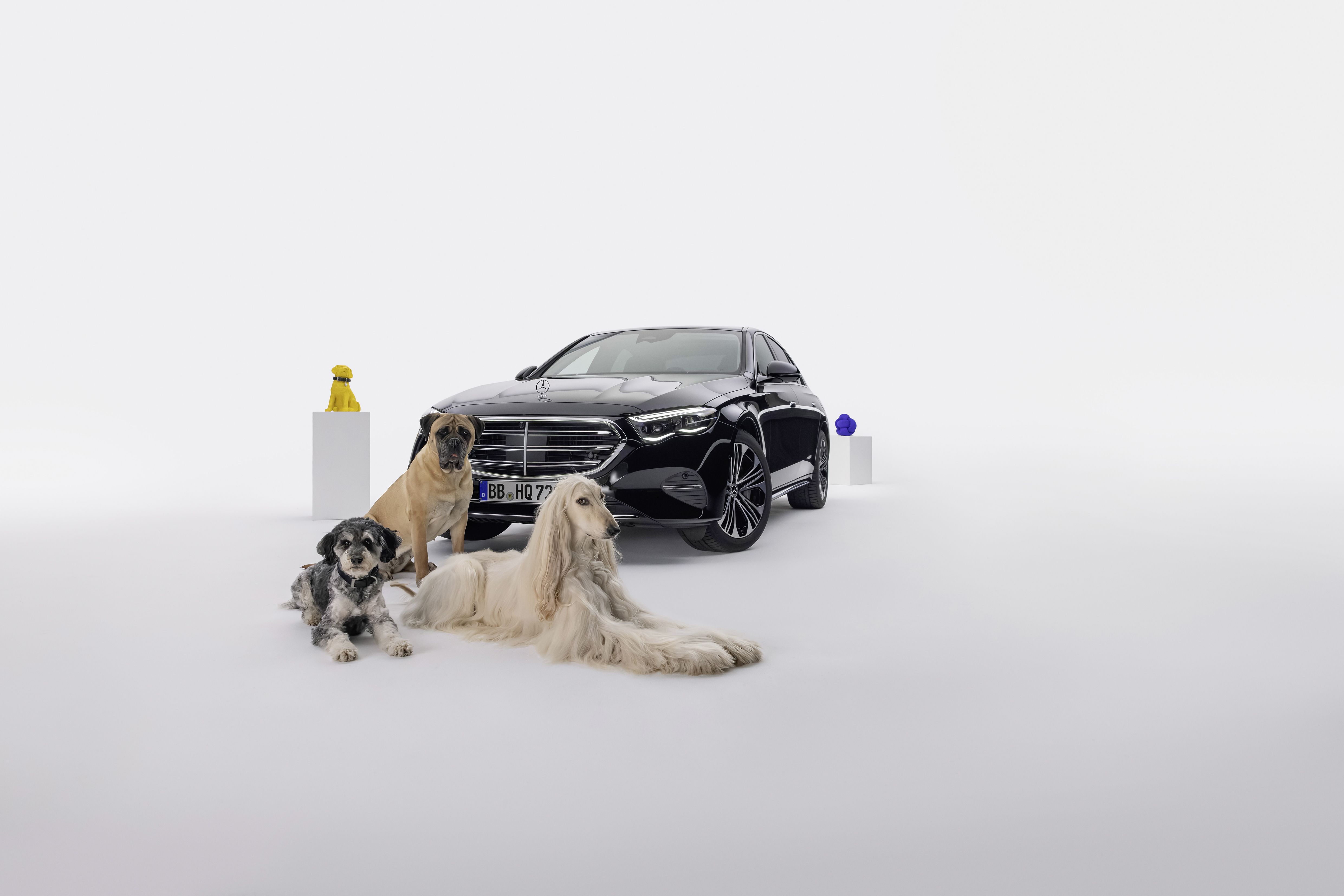 Discover MBUX Bark Assist: Mercedes-Benz's Innovative Voice Assistant for Dogs