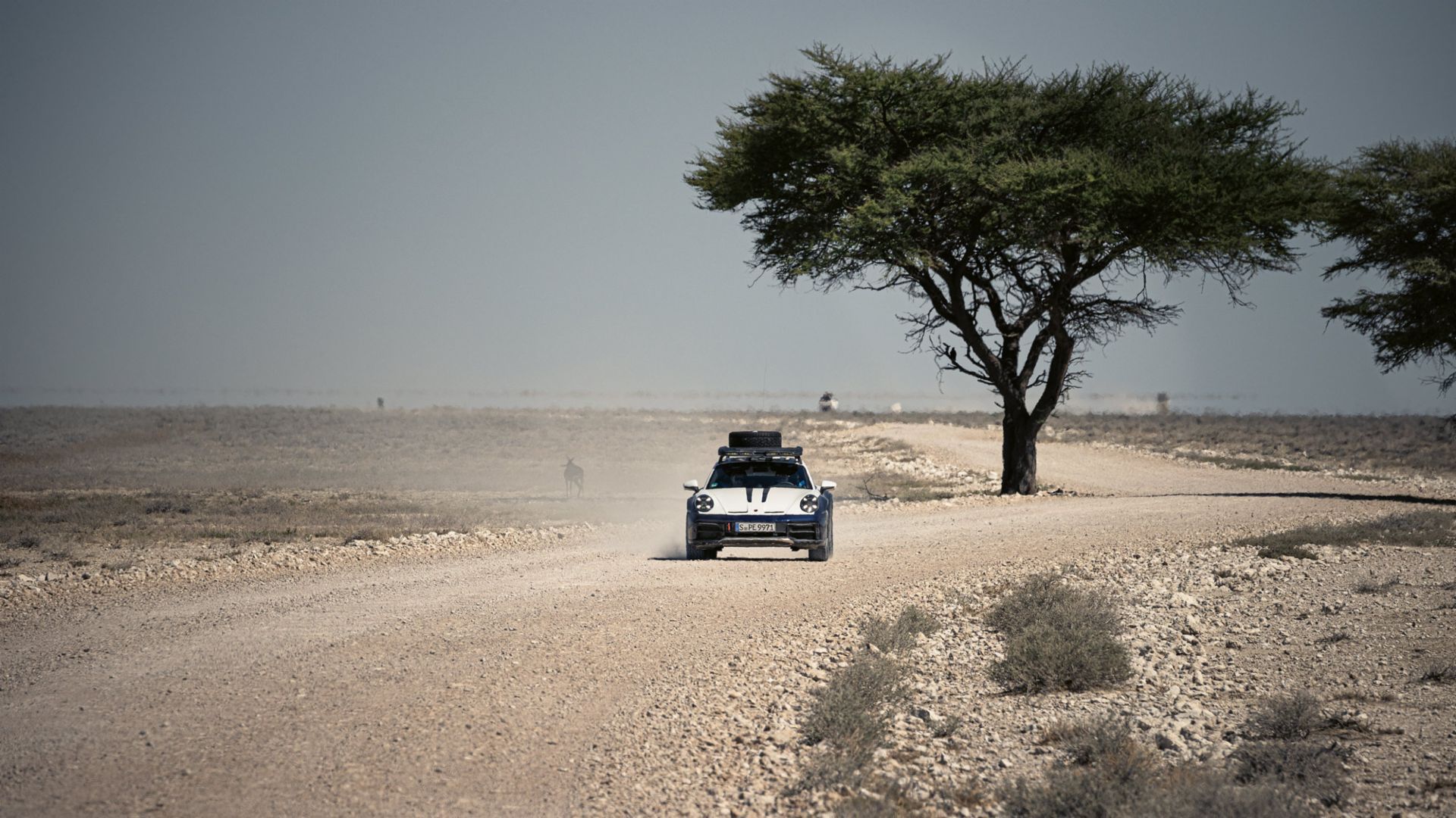 Camp 911 Namibia: Experience the Porsche 911 Dakar Adventure | Auto Trader UAE