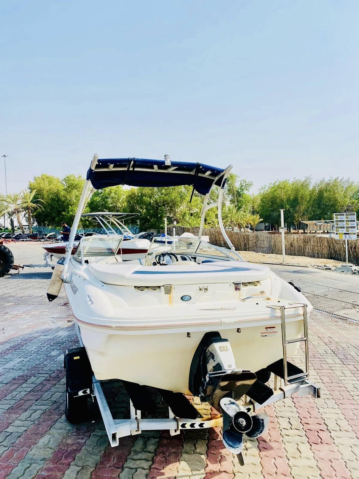 2009 Larson 18 ft speedboat with inboard Volvo Penta 4.3L GL V6 engine