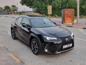 2021 Lexus UX