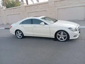 2014 Mercedes-Benz CLS