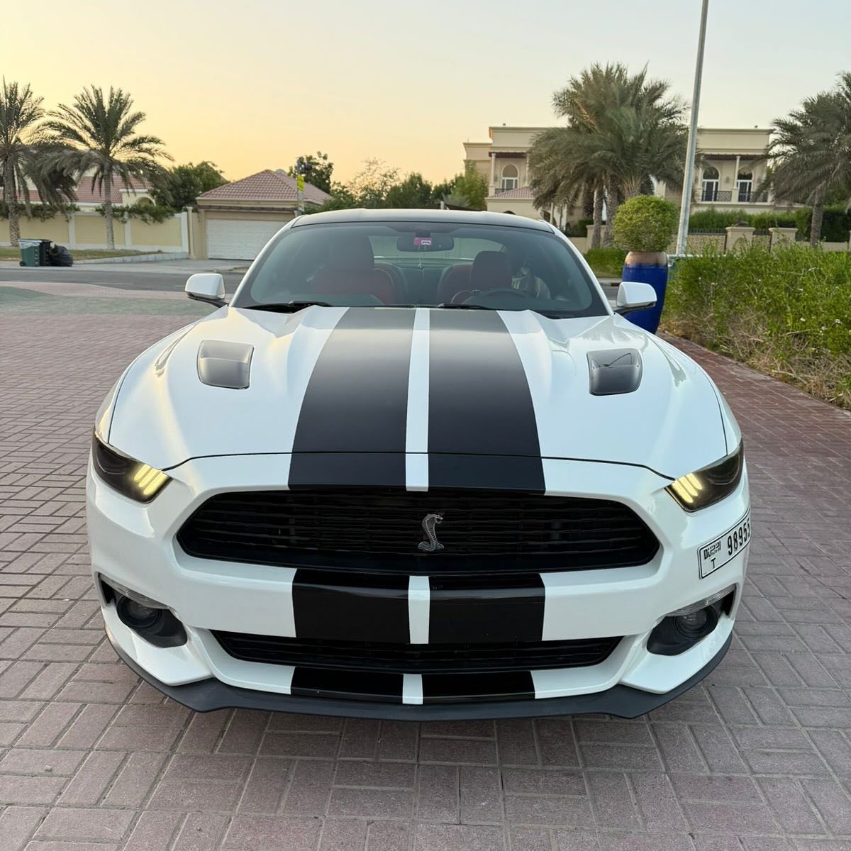 2017 Ford Mustang in dubai