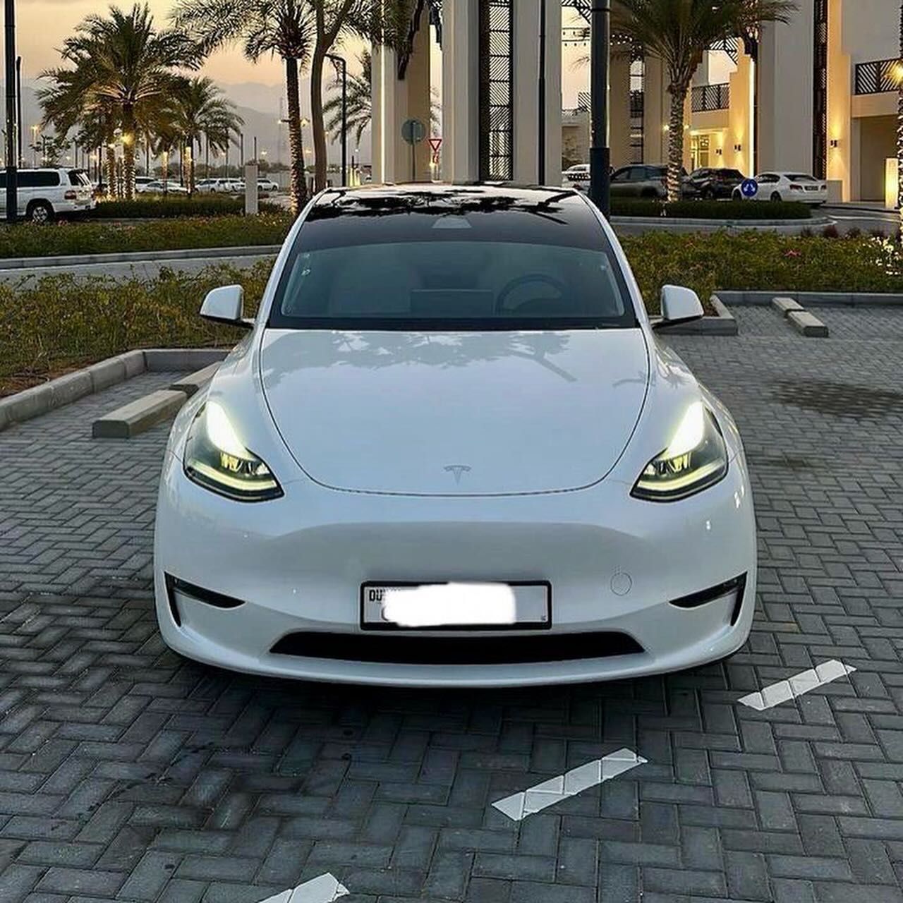 2023 Tesla Model Y in dubai