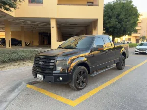 2014 Ford F150 in dubai