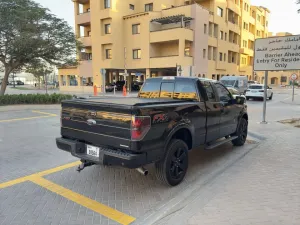 2014 Ford F150