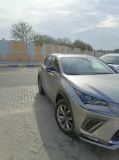 2019 Lexus NX