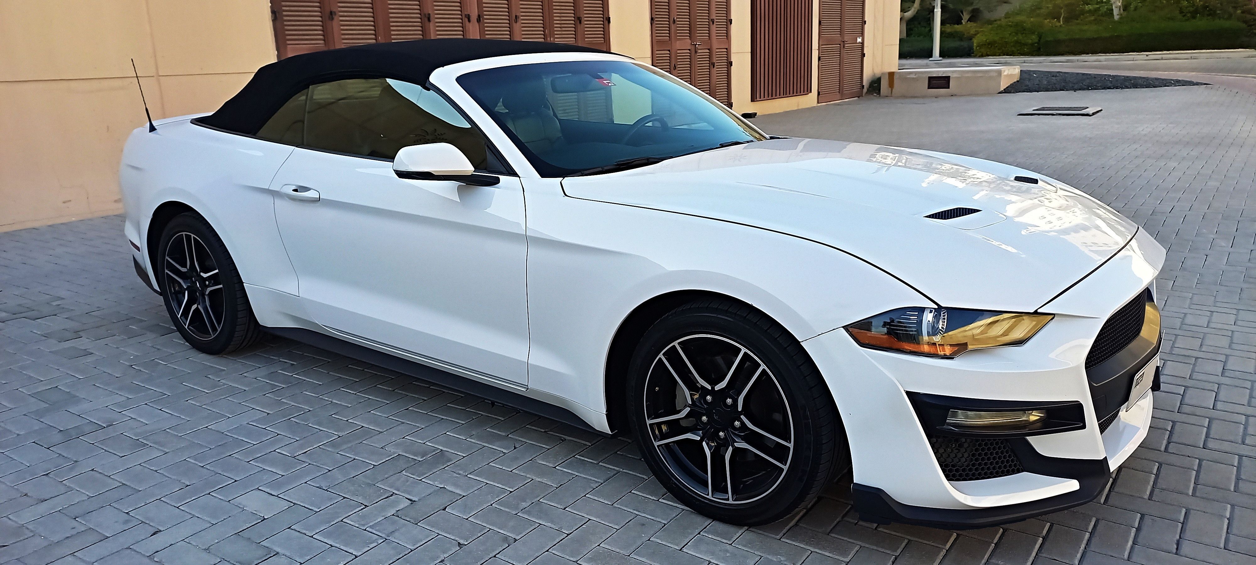 2019 Ford Mustang in dubai