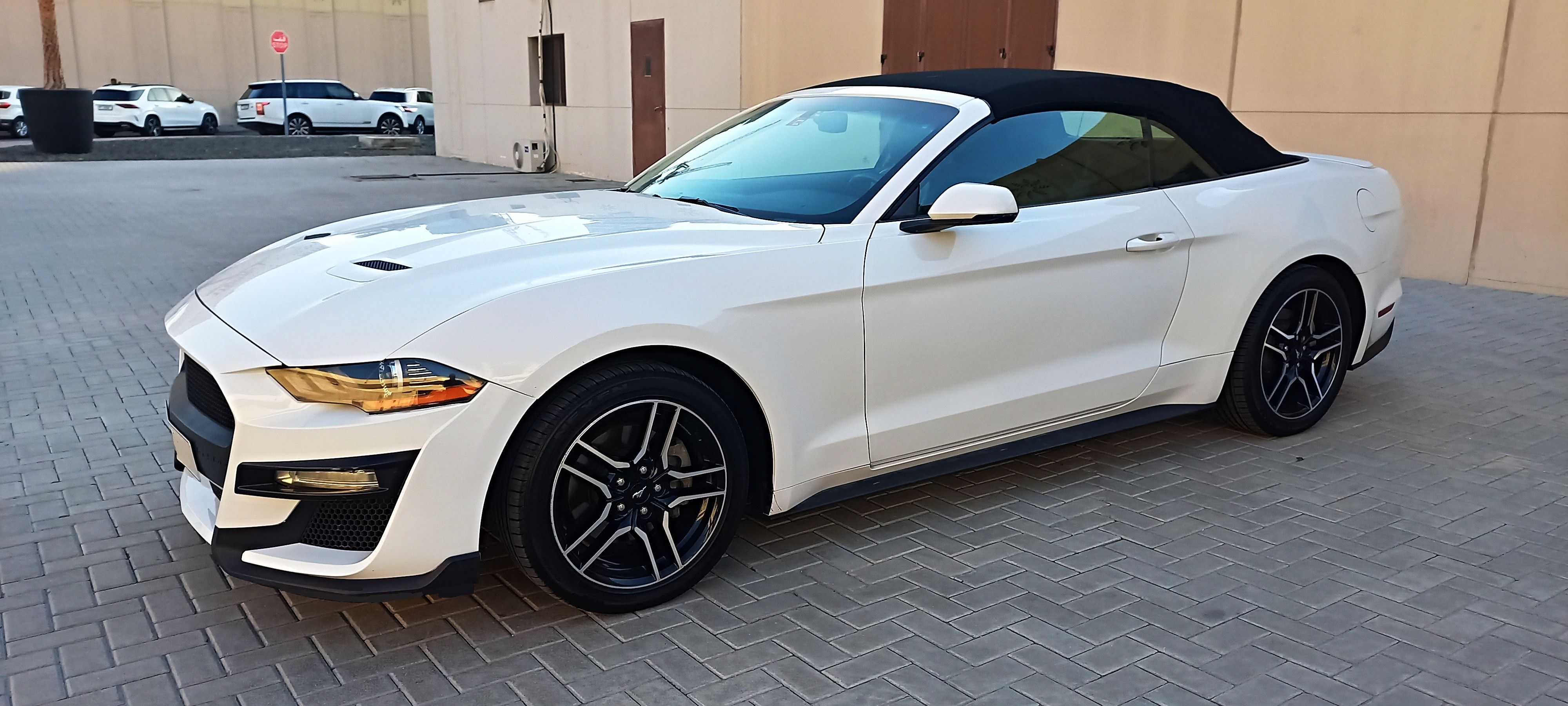 2019 Ford Mustang