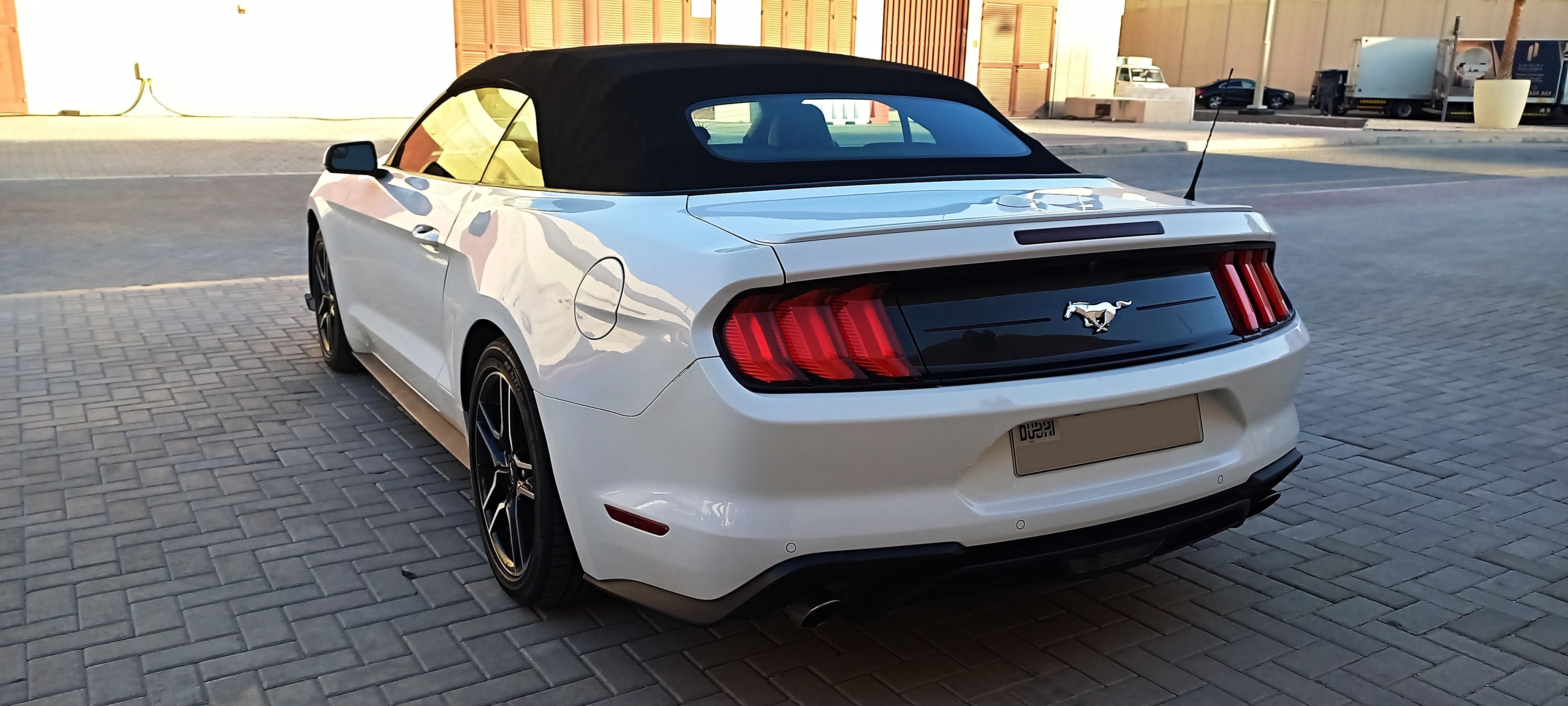 2019 Ford Mustang