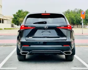 2018 Lexus NX