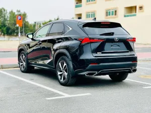 2018 Lexus NX