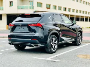 2018 Lexus NX