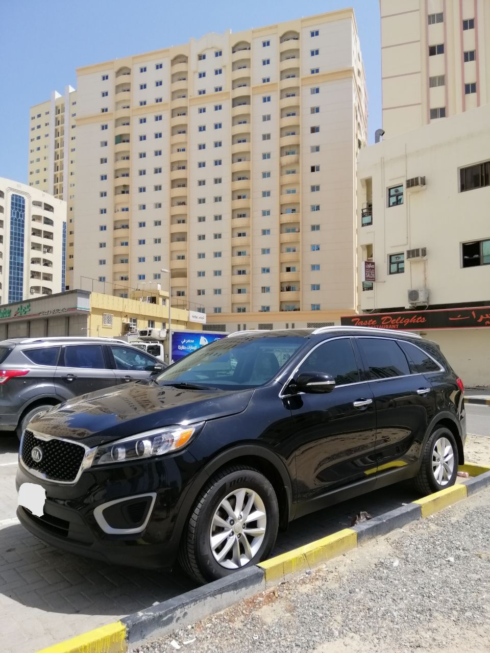 2017 Kia Sorento