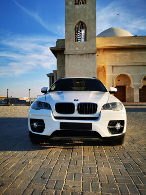 2009 BMW X6