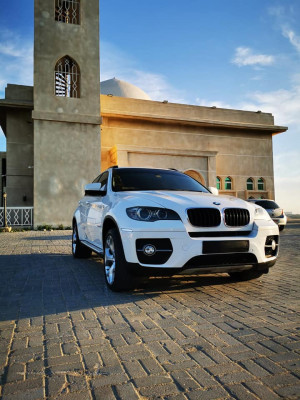 2009 BMW X6