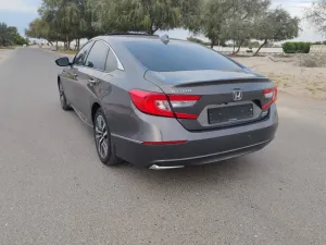 2019 Honda Accord