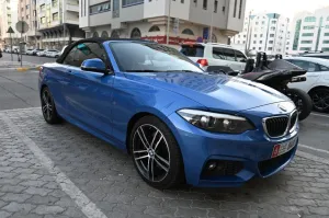 2018 BMW 2-Series