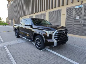 2022 Toyota Tundra