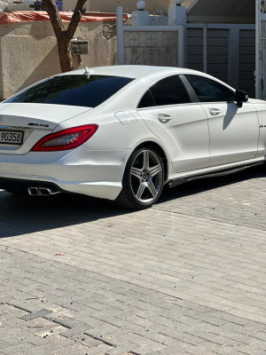 2013 Mercedes-Benz CLS