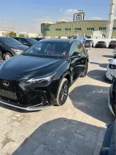 2024 Lexus NX in dubai