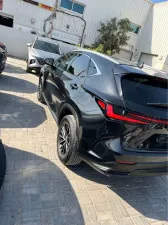 2024 Lexus NX