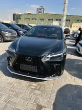 2024 Lexus NX