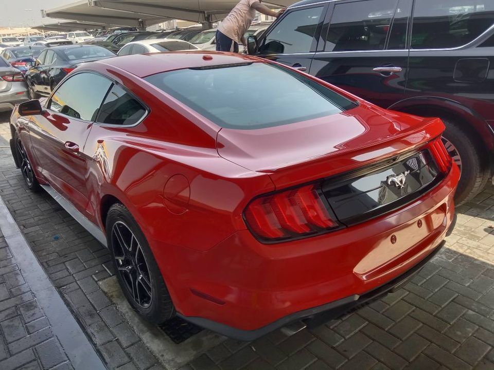 2019 Ford Mustang