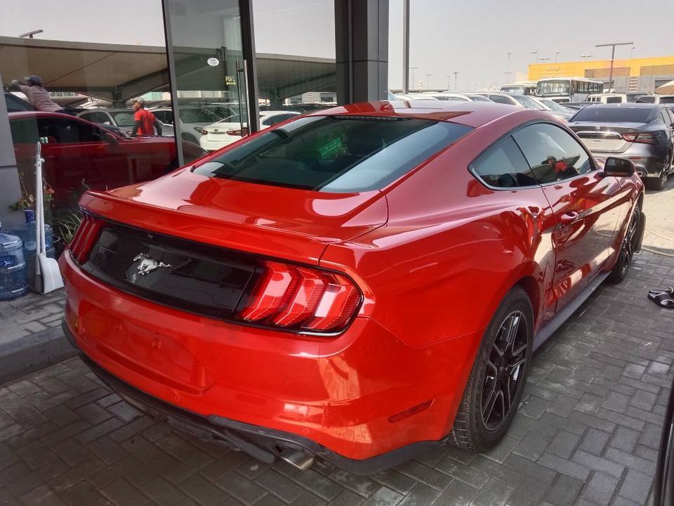 2019 Ford Mustang