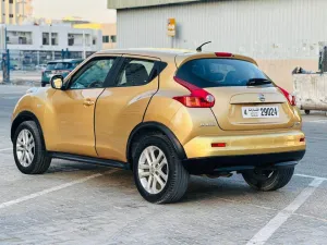 2014 Nissan Juke