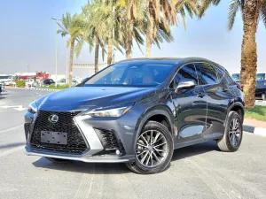 2022 Lexus NX in dubai