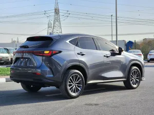 2022 Lexus NX