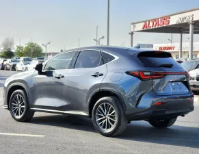 2022 Lexus NX