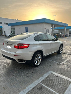 2010 BMW X6