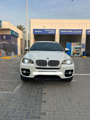 2010 BMW X6