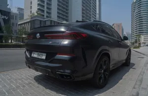 2023 BMW X6