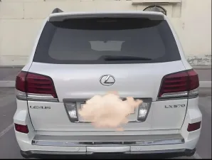 2010 Lexus LX 570