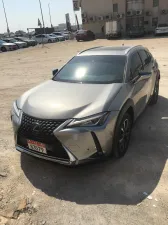 2020 Lexus UX