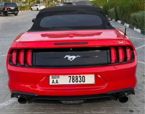 2019 Ford Mustang