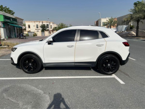 2019 Borgward BX5