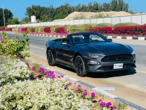 2021 Ford Mustang