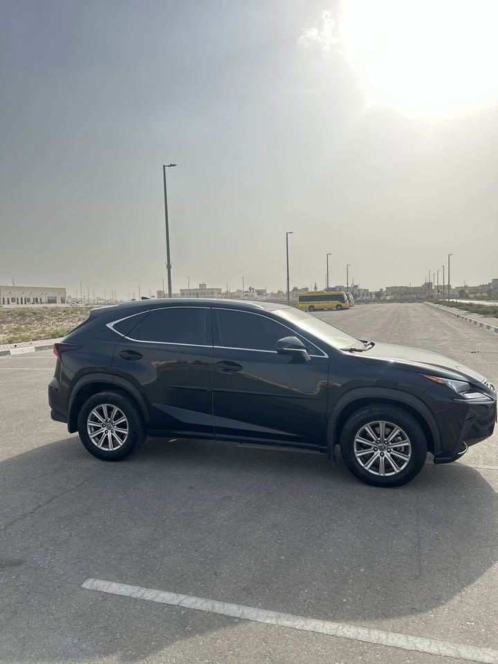 2020 Lexus NX