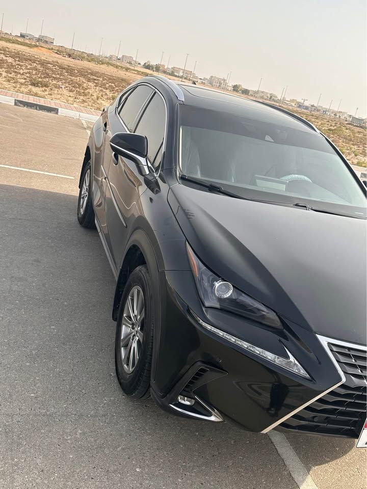 2020 Lexus NX