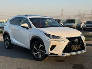 2020 Lexus NX