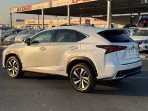 2020 Lexus NX