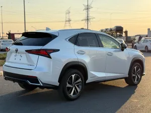 2020 Lexus NX