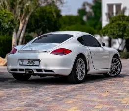 2010 Porsche Cayman