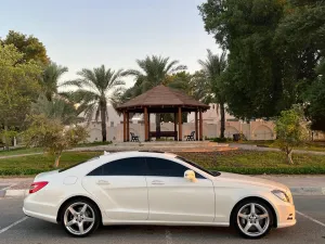 2014 Mercedes-Benz CLS