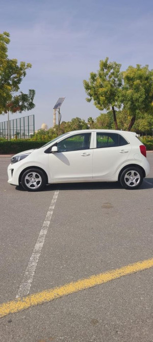 2019 Kia Picanto in dubai