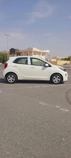 2019 Kia Picanto